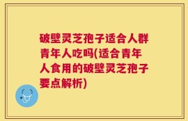 破壁灵芝孢子适合人群青年人吃吗(适合青年人食用的破壁灵芝孢子要点解析)