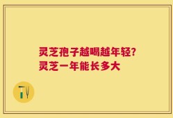 灵芝孢子越喝越年轻？灵芝一年能长多大