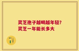 灵芝孢子越喝越年轻？灵芝一年能长多大