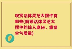 观赏活体灵芝大摆件有哪些(解锁活体灵芝大摆件的惊人奥秘，重塑空气质量)