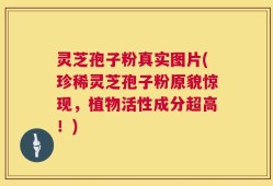 灵芝孢子粉真实图片(珍稀灵芝孢子粉原貌惊现，植物活性成分超高！)
