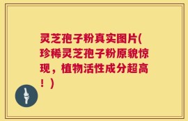 灵芝孢子粉真实图片(珍稀灵芝孢子粉原貌惊现，植物活性成分超高！)