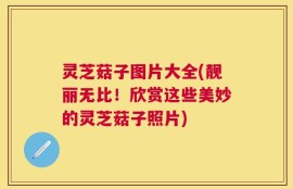 灵芝菇子图片大全(靓丽无比！欣赏这些美妙的灵芝菇子照片)