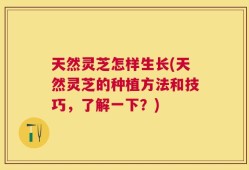 天然灵芝怎样生长(天然灵芝的种植方法和技巧，了解一下？)