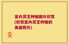 室内灵芝种植图片欣赏(欣赏室内灵芝种植的美丽照片)