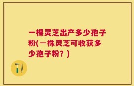 一棵灵芝出产多少孢子粉(一株灵芝可收获多少孢子粉？)
