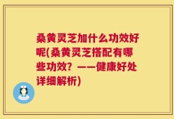 桑黄灵芝加什么功效好呢(桑黄灵芝搭配有哪些功效？——健康好处详细解析)