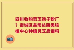 四川收购灵芝孢子粉厂？宿城区鑫常达菌类培植中心种植灵芝靠谱吗