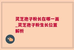 灵芝孢子粉长在哪一面_灵芝孢子粉生长位置解析
