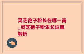 灵芝孢子粉长在哪一面_灵芝孢子粉生长位置解析