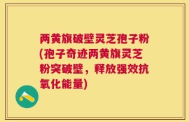 两黄旗破壁灵芝孢子粉(孢子奇迹两黄旗灵芝粉突破壁，释放强效抗氧化能量)