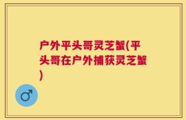 户外平头哥灵芝蟹(平头哥在户外捕获灵芝蟹)
