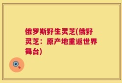 俄罗斯野生灵芝(俄野灵芝：原产地重返世界舞台)