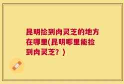 昆明捡到肉灵芝的地方在哪里(昆明哪里能捡到肉灵芝？)