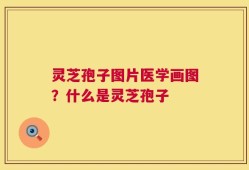 灵芝孢子图片医学画图？什么是灵芝孢子