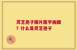 灵芝孢子图片医学画图？什么是灵芝孢子