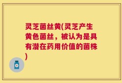 灵芝菌丝黄(灵芝产生黄色菌丝，被认为是具有潜在药用价值的菌株)