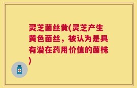 灵芝菌丝黄(灵芝产生黄色菌丝，被认为是具有潜在药用价值的菌株)