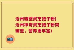 沧州破壁灵芝孢子粉(沧州神奇灵芝孢子粉突破壁，营养更丰富)