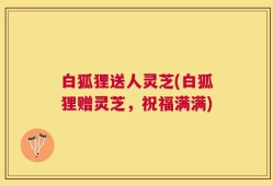 白狐狸送人灵芝(白狐狸赠灵芝，祝福满满)