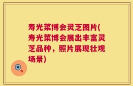 寿光菜博会灵芝图片(寿光菜博会展出丰富灵芝品种，照片展现壮观场景)
