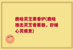 鹿晗灵芝熏香炉(鹿晗推出灵芝香薰器，舒缓心灵疲惫)