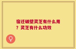 宿迁破壁灵芝有什么用？灵芝有什么功效