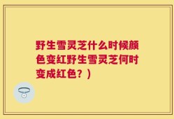 野生雪灵芝什么时候颜色变红野生雪灵芝何时变成红色？)