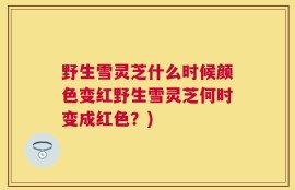 野生雪灵芝什么时候颜色变红野生雪灵芝何时变成红色？)