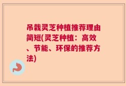吊栽灵芝种植推荐理由简短(灵芝种植：高效、节能、环保的推荐方法)