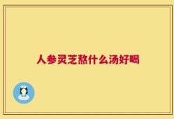 人参灵芝熬什么汤好喝