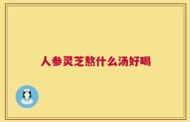 人参灵芝熬什么汤好喝