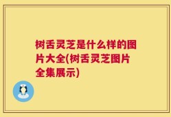 树舌灵芝是什么样的图片大全(树舌灵芝图片全集展示)