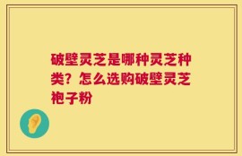 破壁灵芝是哪种灵芝种类？怎么选购破壁灵芝袍子粉