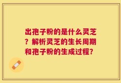 出孢子粉的是什么灵芝？解析灵芝的生长周期和孢子粉的生成过程？