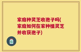 家庭种灵芝收孢子吗(家庭如何在家种植灵芝并收获孢子)