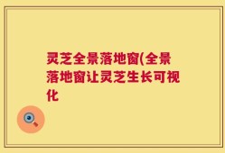 灵芝全景落地窗(全景落地窗让灵芝生长可视化