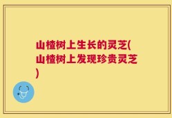 山楂树上生长的灵芝(山楂树上发现珍贵灵芝)