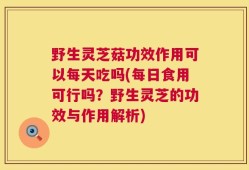 野生灵芝菇功效作用可以每天吃吗(每日食用可行吗？野生灵芝的功效与作用解析)