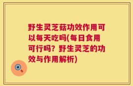 野生灵芝菇功效作用可以每天吃吗(每日食用可行吗？野生灵芝的功效与作用解析)