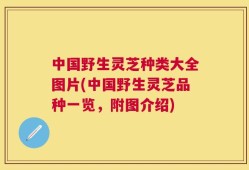 中国野生灵芝种类大全图片(中国野生灵芝品种一览，附图介绍)
