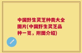 中国野生灵芝种类大全图片(中国野生灵芝品种一览，附图介绍)