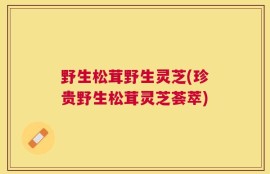 野生松茸野生灵芝(珍贵野生松茸灵芝荟萃)