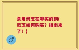 食用灵芝在哪买的到(灵芝如何购买？指南来了！)