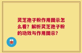 灵芝孢子粉作用图示怎么看？解析灵芝孢子粉的功效与作用图示？