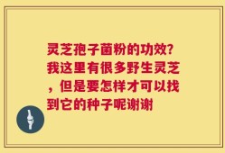 灵芝孢子菌粉的功效？我这里有很多野生灵芝，但是要怎样才可以找到它的种子呢谢谢