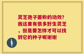 灵芝孢子菌粉的功效？我这里有很多野生灵芝，但是要怎样才可以找到它的种子呢谢谢