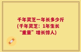 千年灵芝一年长多少斤(千年灵芝：1年生长“重量”增长惊人)