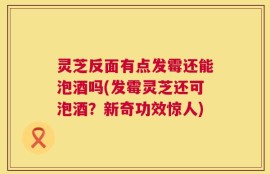 灵芝反面有点发霉还能泡酒吗(发霉灵芝还可泡酒？新奇功效惊人)