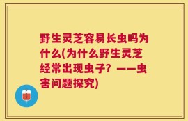 野生灵芝容易长虫吗为什么(为什么野生灵芝经常出现虫子？——虫害问题探究)